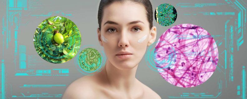 Células madre vegetales en cosmética